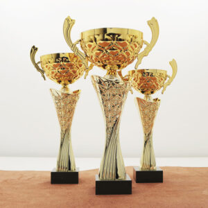 Кубок нагородний K6033C Чаша D10см Висота 30см