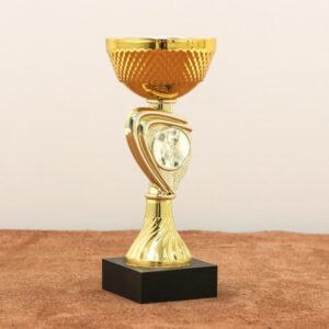 Кубок нагородний 6023C Чаша D7см Висота 16см