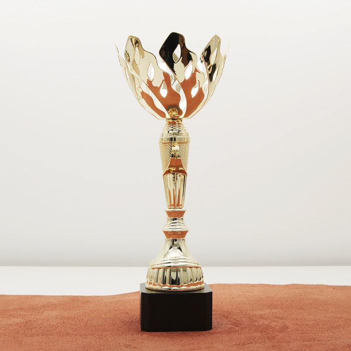 Кубок нагородний K6012B Чаша D12см Висота 30см