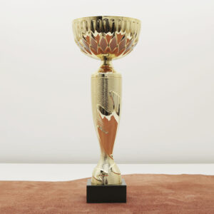 Кубок нагородний K6041C Чаша D10см Висота 25см