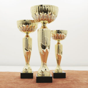 Кубок нагородний K6041C Чаша D10см Висота 25см