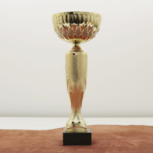 Кубок нагородний K6041B Чаша D12см Висота 30см