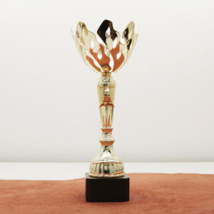 Кубок нагородний K6012C Чаша D10см Висота 27см