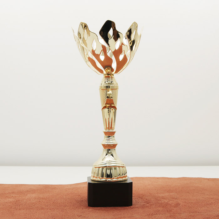 Кубок нагородний K6012C Чаша D10см Висота 27см