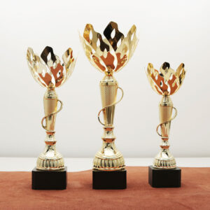 Кубок нагородний K6012C Чаша D10см Висота 27см