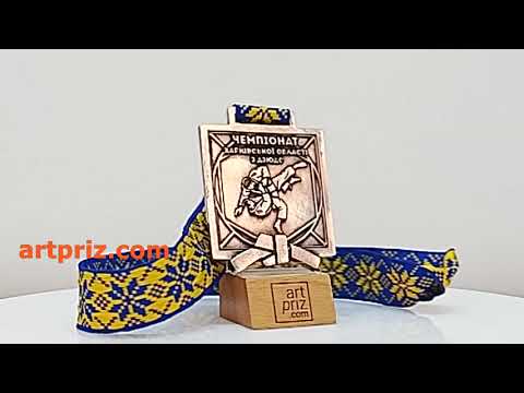 Медаль лита ДЗЮДО 62х77 мм АРТПРИЗ 1855-5