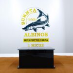 Кубок 1 место по Рыболовству BUKHTA ALBINOS 21х40см АРТПРИЗ 6336-5