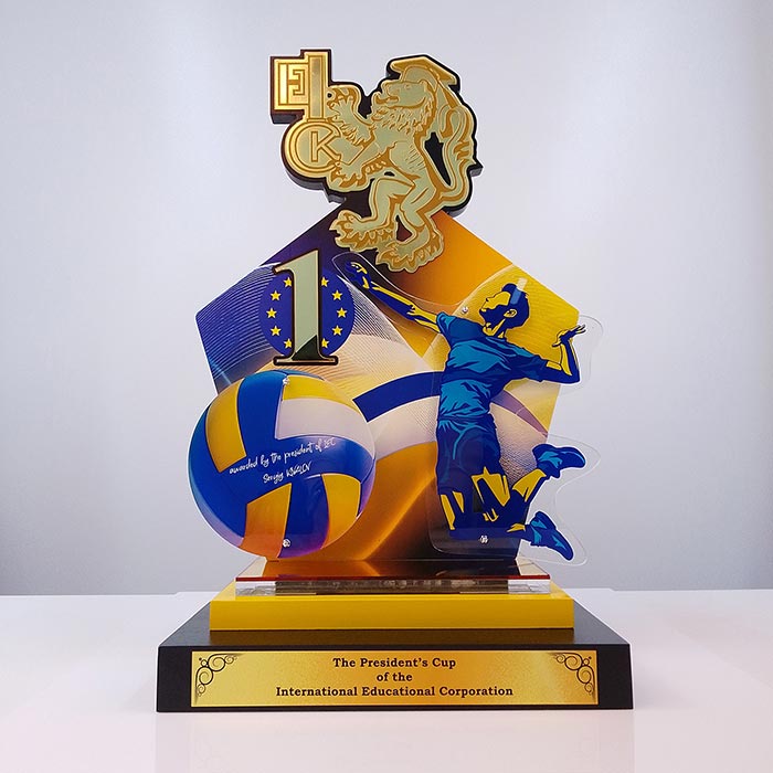 Кубок Волейбол International Educational Corporation Cup 33x50см Артприз 3377V5