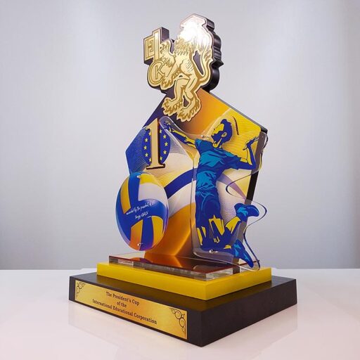 Кубок Волейбол International Educational Corporation Cup 33x50см Артприз 3377V5