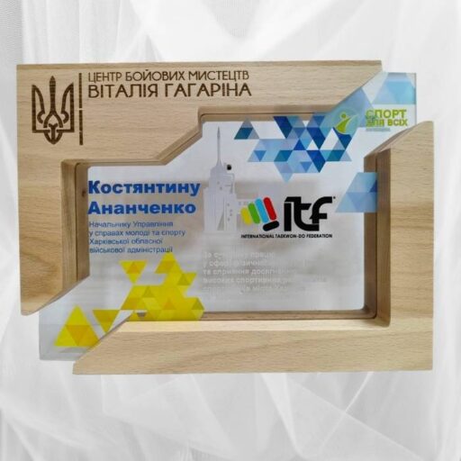 Подяка Центр бойових мистецтв Віталія Гагаріна 28х21см Артприз 626-5