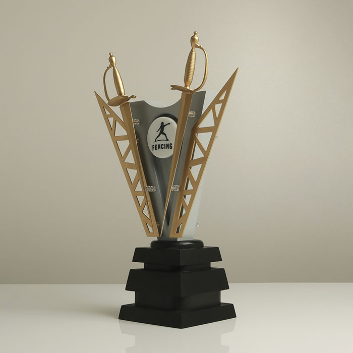 Нагорода кубок Фехтування 432х579мм Артприз