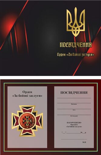 Орден литий "За бойові заслуги" УНСО 50х50мм Артприз 1346N5