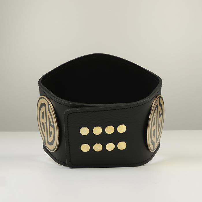 Пояс чемпіонський KINGS OF THE TATAMI 700х212мм Артприз 3739-5