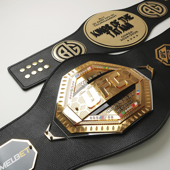 Пояс чемпіонський KINGS OF THE TATAMI 700х212мм Артприз 3739-5