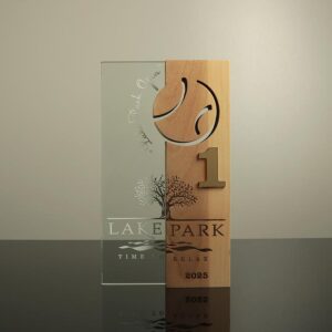 Приз індивідуальний Lake Park Теніс 30х17см Артприз 6166-5