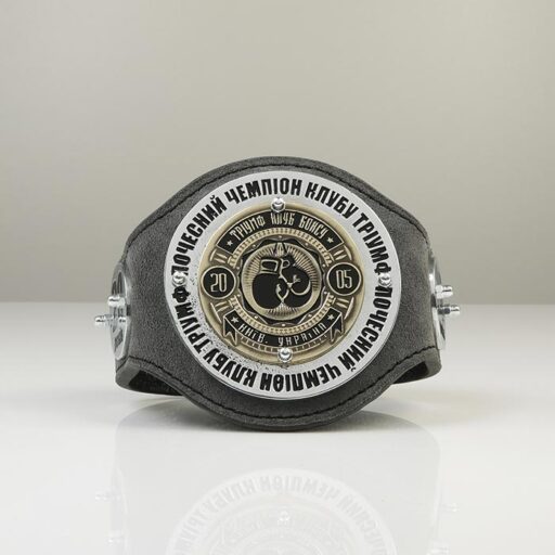 Сувенірний чемпіонський пояс з боксу 45х11см Артприз 1996-5