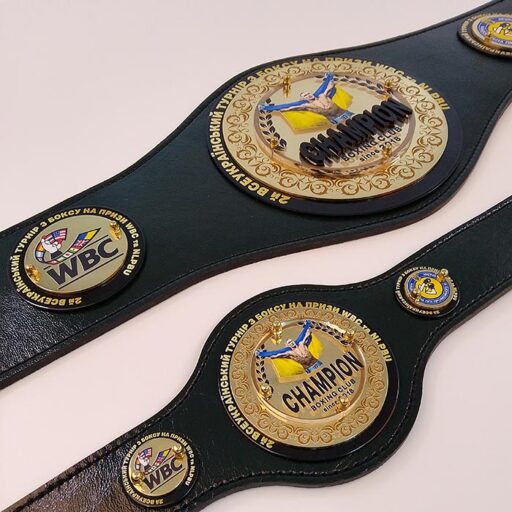 Пояс чемпіонський боксерський підлітковий 100х20см Артприз 8218-25