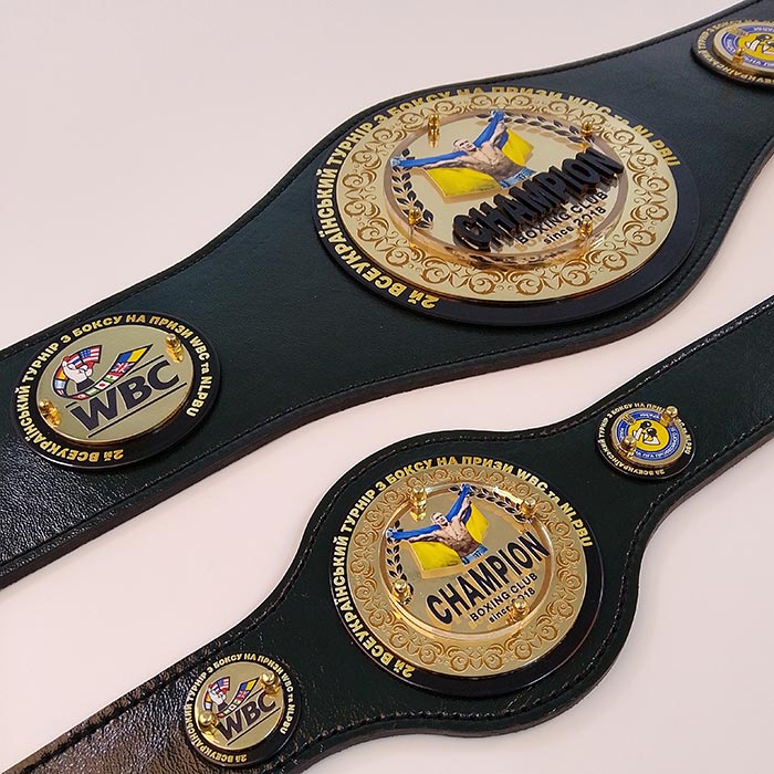 Пояс чемпіонський боксерський підлітковий 100х20см Артприз 8218-25