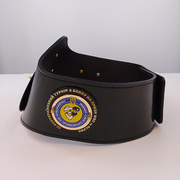 Пояс чемпіонський боксерський підлітковий 100х20см Артприз 8218-25