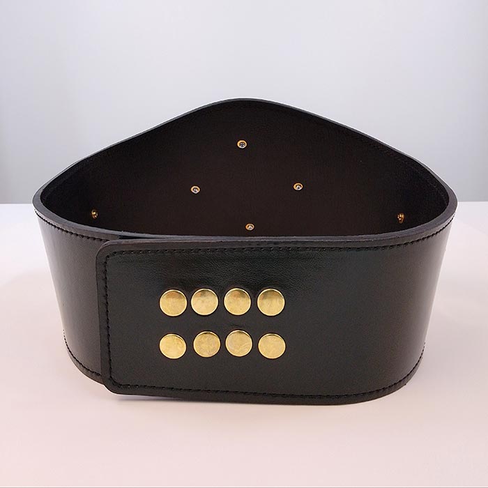 Пояс чемпіонський боксерський підлітковий 100х20см Артприз 8218-25